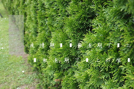 疫情期間貸款逾期了會上征信嗎-疫情期間貸款逾期了會上征信嗎知乎