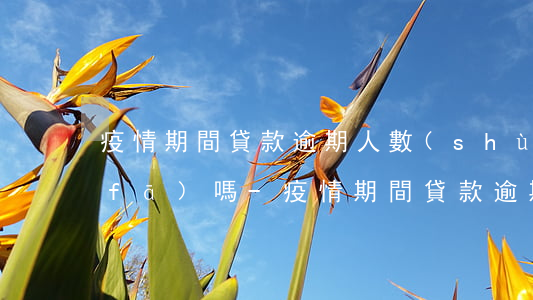 疫情期間貸款逾期人數(shù)會爆發(fā)嗎-疫情期間貸款逾期會上征信嗎