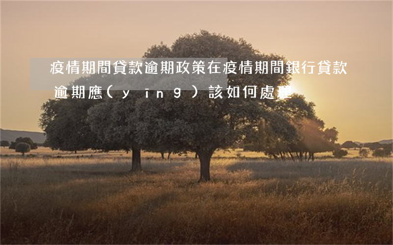 疫情期間貸款逾期政策(在疫情期間銀行貸款逾期應(yīng)該如何處理)