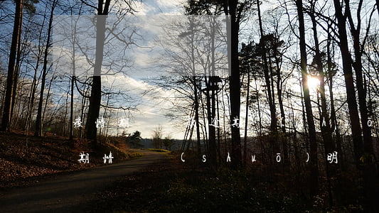疫情期間貸款逾期說(shuō)明(疫情逾期情況說(shuō)明)