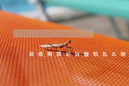 疫情期間起訴離婚怎么辦