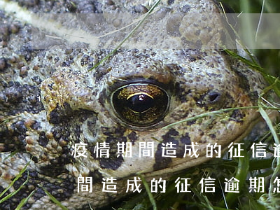 疫情期間造成的征信逾期怎么處理-疫情期間造成的征信逾期怎么處理呢