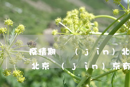 疫情期間進(jìn)北京犯法嗎(疫情期間北京進(jìn)京有限制嗎)