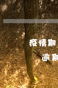 疫情期間逾期上征信申訴多久處理-疫情期間逾期怎么申請(qǐng)修復(fù)征信