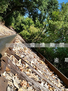 疫情期間逾期不還款(疫情期間出現(xiàn)逾期可以貸款嗎)