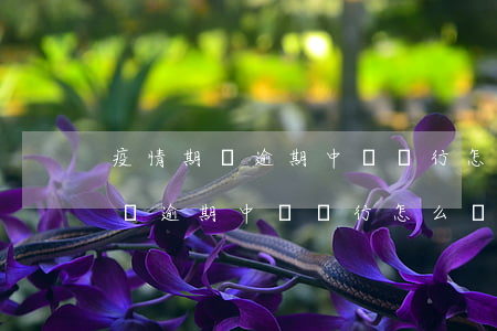 疫情期間逾期中國銀行怎么處理的-疫情期間逾期中國銀行怎么處理的呢