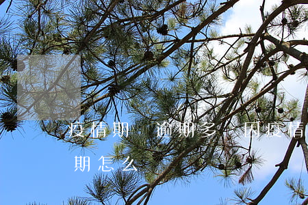 疫情期間逾期多嗎(因疫情導(dǎo)致逾期怎么辦)