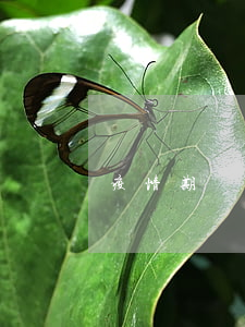 疫情期間逾期怎么修改逾期記錄-