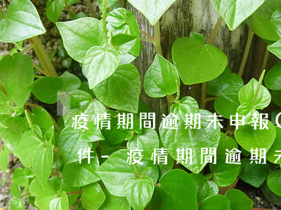疫情期間逾期未申報(bào)免于處罰文件-疫情期間逾期未申報(bào)免于處罰文件是什么