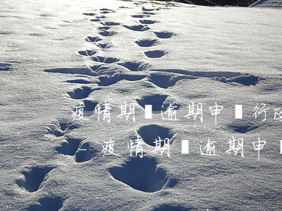 疫情期間逾期申報行政處罰規(guī)定-疫情期間逾期申報行政處罰規(guī)定最新