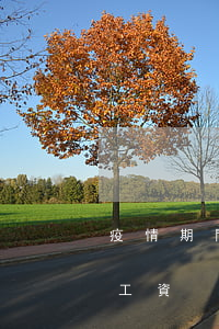 疫情期間逾期發(fā)工資(疫情影響拖欠工資)