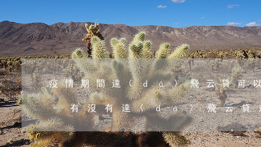疫情期間達(dá)飛云貸可以延期還款嗎-有沒有達(dá)飛云貸逾期,后期商量還款的
