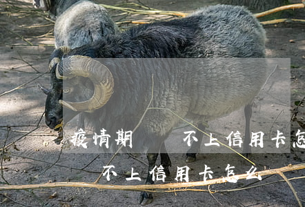疫情期間還不上信用卡怎么處理-疫情期間還不上信用卡怎么辦