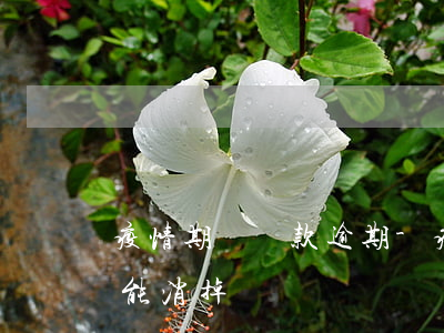 疫情期間還款逾期-疫情期間還款逾期征信能消掉嗎?