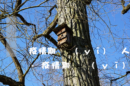疫情期間醫(yī)護人員天使貸逾期兩天-疫情期間醫(yī)護人員天使貸逾期兩天有影響嗎