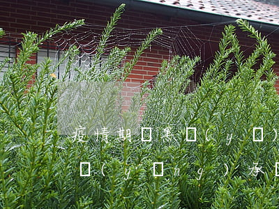 疫情期間黑醫(yī)生造成病人交叉感染應(yīng)承擔(dān)何種法律責(zé)任