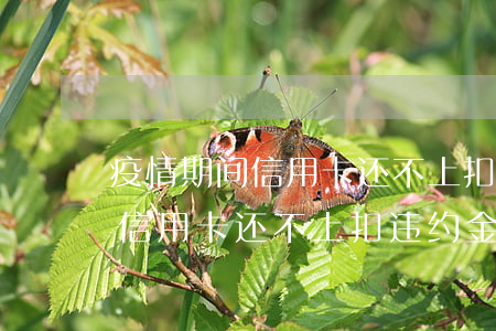 疫情期间信用卡还不上扣违约金-疫情期间信用卡还不上扣违约金合法吗
