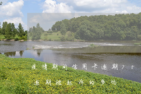 疫情期间信用卡逾期757亿(疫情后信用卡逾期被起诉的多吗)