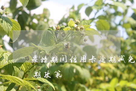 疫情期间信用卡逾期减免(疫情期间信用卡延期政策)