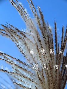 疫情期间信用卡逾期利息可以减免吗-疫情期间信用卡逾期利息可以减免吗知乎