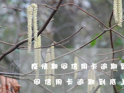 疫情期间信用卡逾期到底上征信不-疫情期间信用卡逾期到底上征信不上征信吗