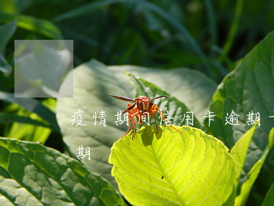 疫情期间信用卡逾期卡被冻结(疫情银行卡逾期)