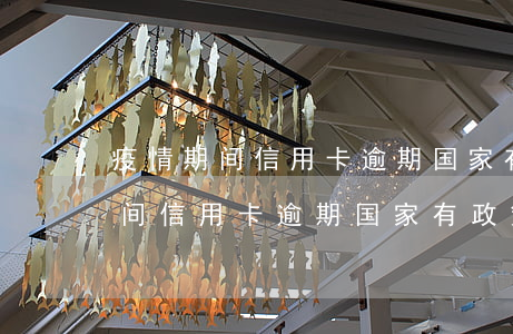 疫情期间信用卡逾期国家有政策吗-疫情期间信用卡逾期国家有政策吗知乎
