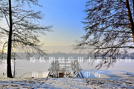 疫情期间信用卡逾期如何申诉(疫情期间造成的逾期怎么申诉)
