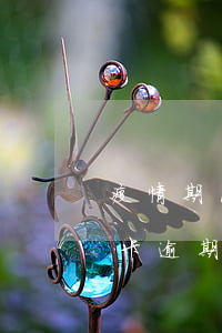 疫情期间信用卡逾期新法规(今年疫情期信用卡逾期起诉)