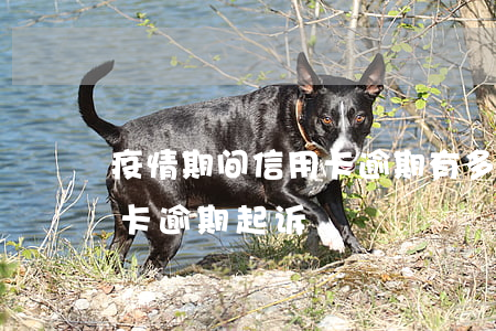 疫情期间信用卡逾期有多少(今年疫情期信用卡逾期起诉)
