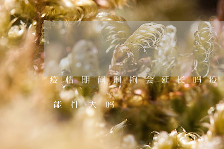 疫情期间刑拘会延长吗(疫情期间判缓刑的可能性大吗)