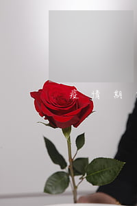 疫情期间劳动者就业支持政策