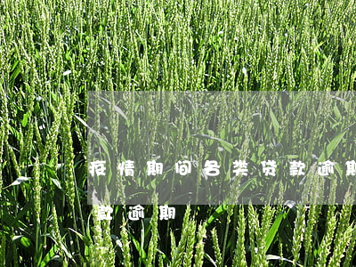 疫情期间各类贷款逾期(国家关于疫情期间贷款逾期)