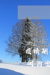 疫情期间因逾期缴纳租金解除合同-疫情期间因逾期缴纳租金解除合同怎么办