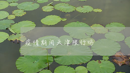 疫情期间天津限行吗