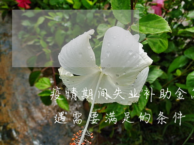 疫情期间失业补助金怎么领取（可以享受的待遇需要满足的条件）