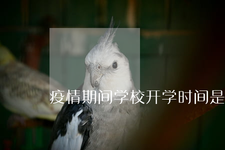 疫情期间，学校开学时间是怎么规定的？