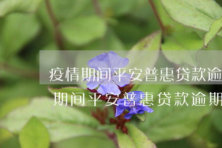 疫情期间平安普惠贷款逾期有说法吗-疫情期间平安普惠贷款逾期有说法吗安全吗
