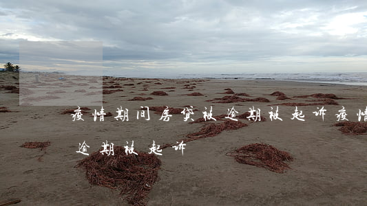 疫情期间房贷被逾期被起诉(疫情期间房贷被逾期被起诉)