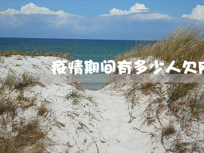 疫情期间有多少人欠网贷(疫情下网贷都停了)