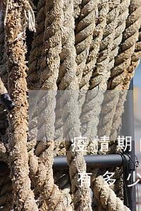 疫情期间有多少人的信用卡逾期-疫情期间有多少人的信用卡逾期了
