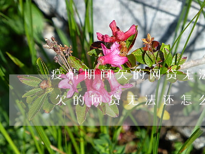 疫情期间欠的网贷无法还怎么办-疫情期间欠的网贷无法还怎么办呢