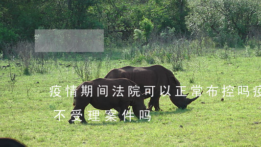 疫情期间法院可以正常布控吗(疫情期间法院不受理案件吗)