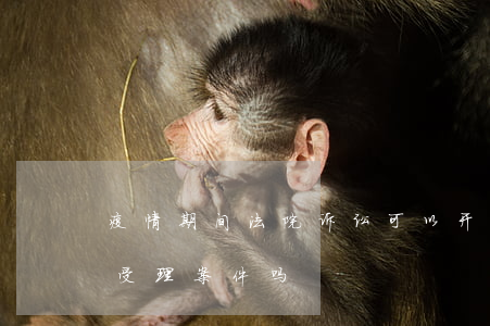 疫情期间法院诉讼可以开庭吗(疫情期间法院受理案件吗)