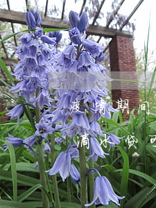 疫情期间滴水贷可以延迟还款吗?-疫情期间滴水贷可以延迟还款吗知乎