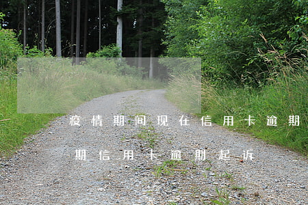 疫情期间现在信用卡逾期了怎么办(今年疫情期信用卡逾期起诉)