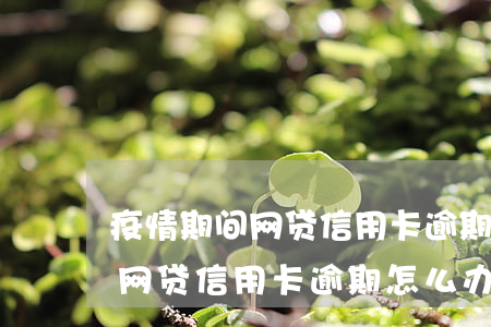 疫情期间网贷信用卡逾期怎么办-疫情期间网贷信用卡逾期怎么办理