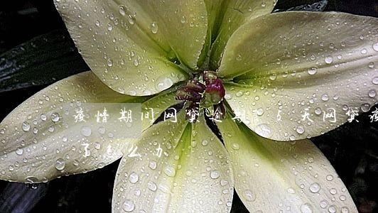 疫情期间网贷逾期15天(网贷疫情期间逾期了怎么办)