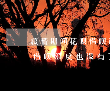 疫情期间花呗借呗逾期咋办(支付宝花呗逾期借呗额度也没有了疫情期间)