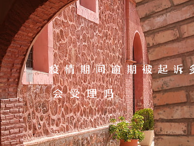 疫情期间逾期被起诉多吗(疫情期间逾期法院会受理吗)